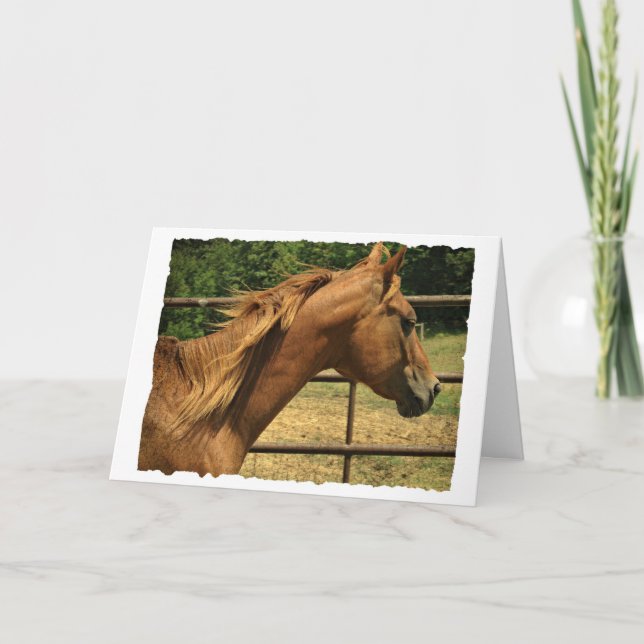 Scotch, Birthday Card (Front)