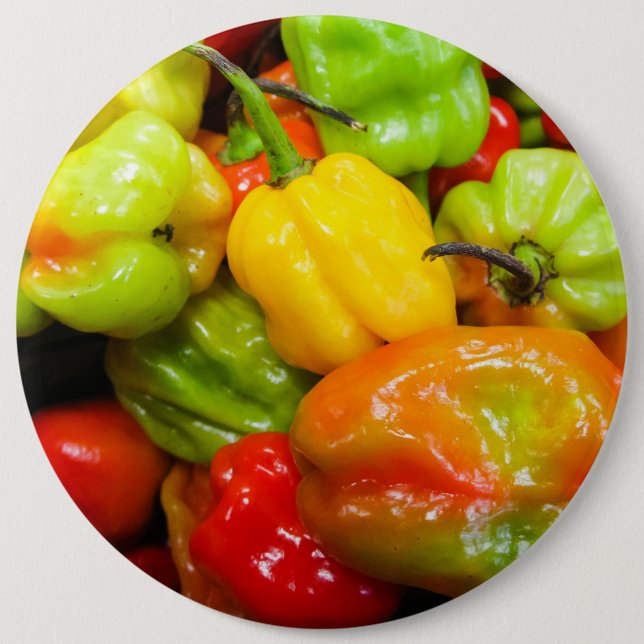 Scotch Bonnet Chilli Peppers 6 Inch Round Button (Front)