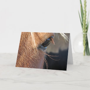 Scotch extreme closeup card