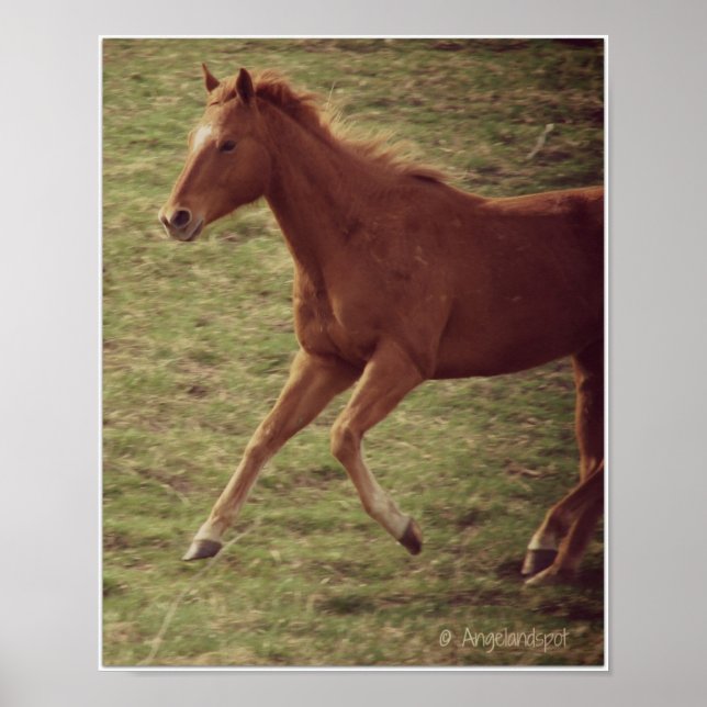 Scotch in Motion Poster (Front)