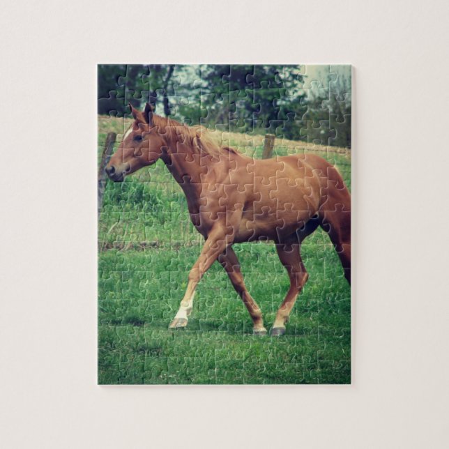 Scotch Jigsaw Puzzle (Vertical)