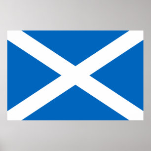Scotland flag Poster