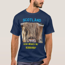 Scotland Funny Long Hair Cow