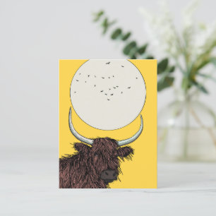 Scotland Highland Cow Postcard