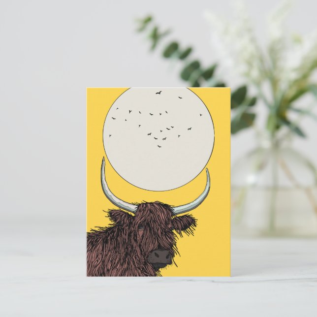 Scotland Highland Cow Postcard (Standing Front)