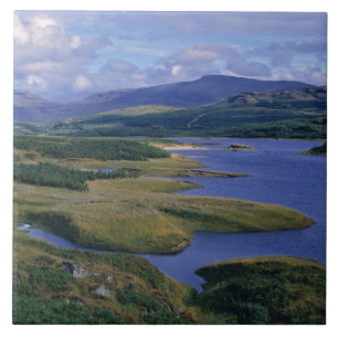 Scotland, Highland, Wester Ross, Loch Garry. An Tile