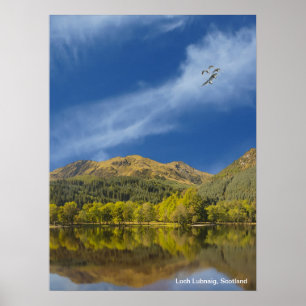 Scotland image for Poster