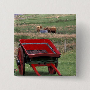Scotland, Isle of Skye, Kilmuir. Farm animals 2 Inch Square Button