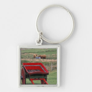 Scotland, Isle of Skye, Kilmuir. Farm animals Keychain