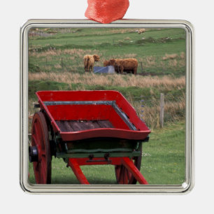 Scotland, Isle of Skye, Kilmuir. Farm animals Metal Ornament