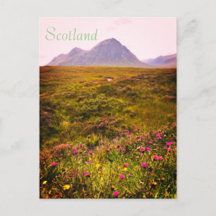 Scotland Postcard