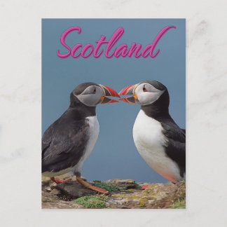 Scotland Postcard