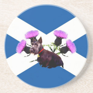 Scotland Scottish terrier, thistle Coaster