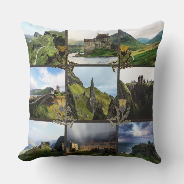 Scotland Thistles on Fraser Tartan Pillow (Front)