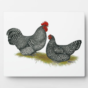 Scots Dumpy Chickens Plaque