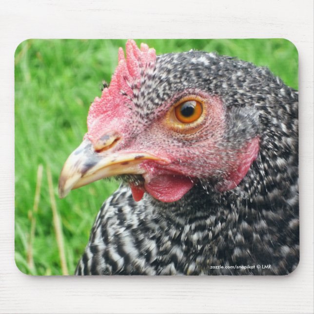 Scots Grey Hen Chicken - Poultry Mouse Pad (Front)