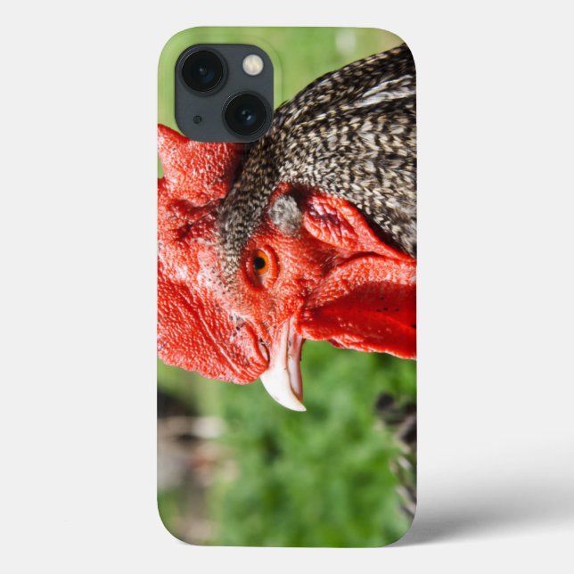 Scots Grey Rooster Photograph Case-Mate iPhone Case (Back)