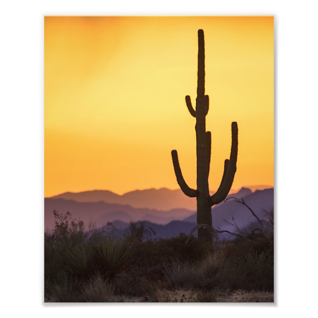 Scottdale sunset before the storm photo print (Front)