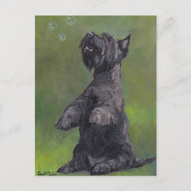 "Scottie aime les bulles" Carte postale de chien A (Devant)