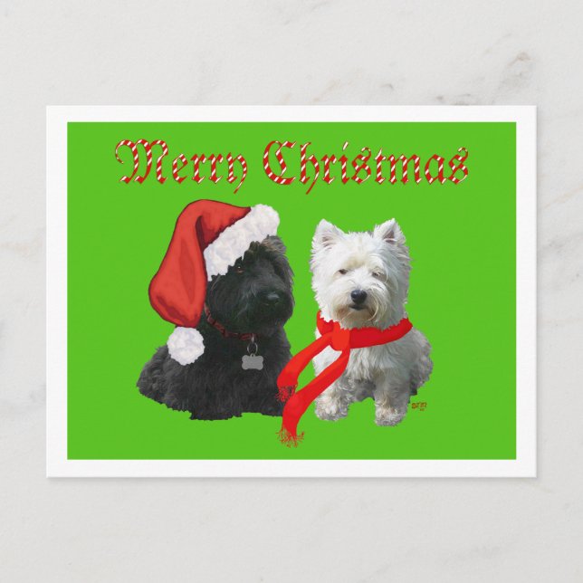 Scottie and Westie Merry Christmas Holiday Postcard (Front)