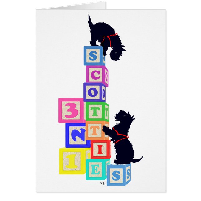 Scottie Blocks (Devant)