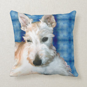 Scottie Coussin