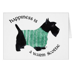 Scottie dans un pull à rayures vertes