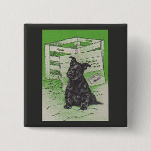 Scottie dog by special delivery 2 inch square button