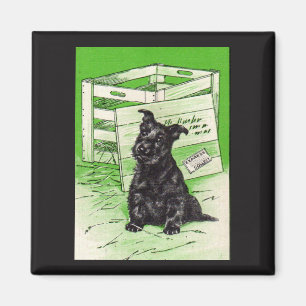 Scottie dog by special delivery magnet