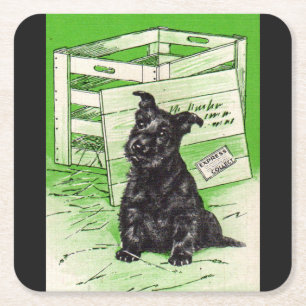 Scottie dog by special delivery square paper coaster