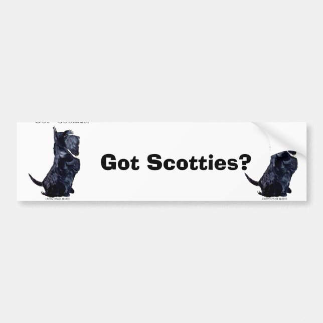 Scottie - Got Cookies? Bumper Sticker (Front)