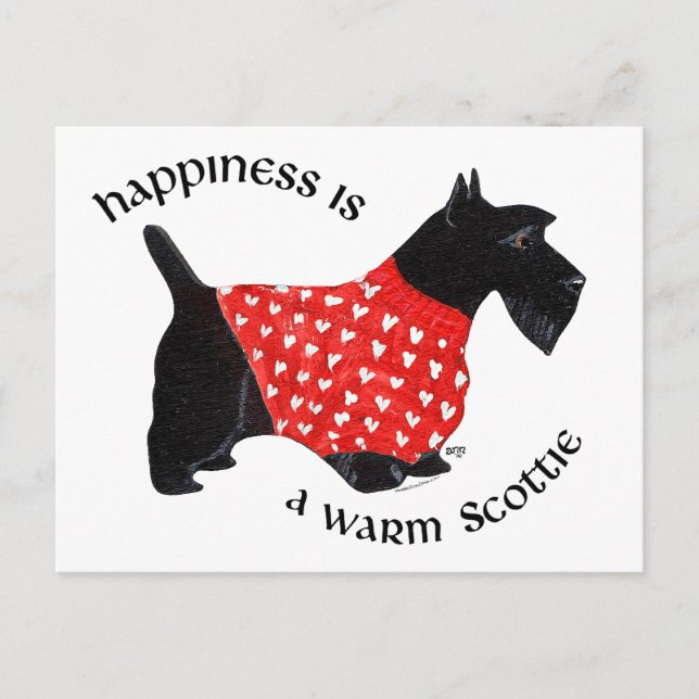 Scottie in Red Plaid Sweater Postcard (Front)