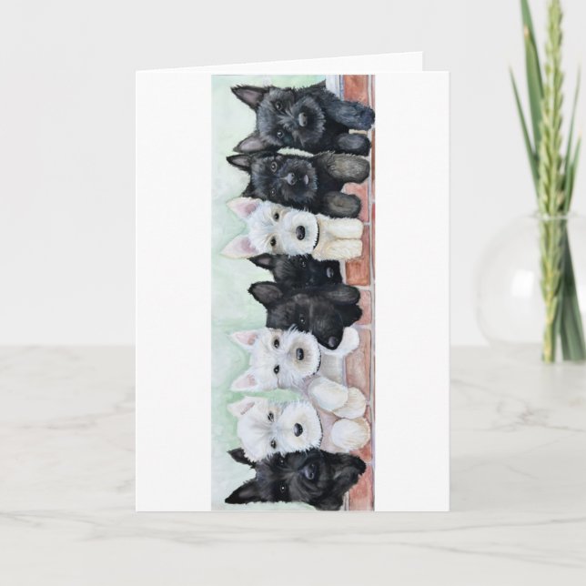 Scottie Puppies Card (Front)