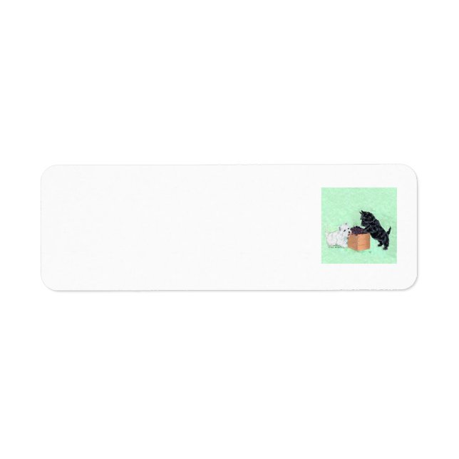 SCOTTIE Return Address Labels (Front)