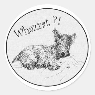 Scottie Sketch - Whazzat? Classic Round Sticker