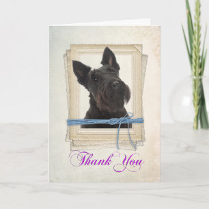 Scottie Thank You Card