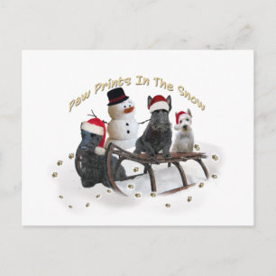 Scottish A Time For Play Postcard