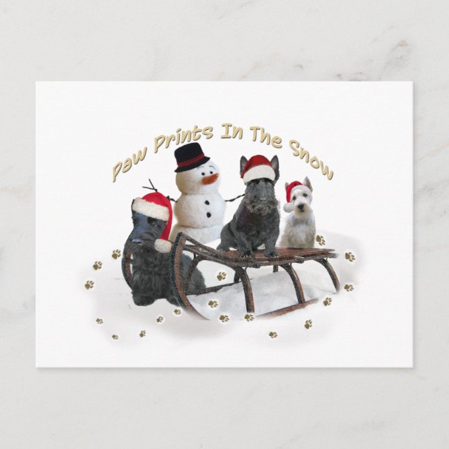 Scottish A Time For Play Postcard (Front)