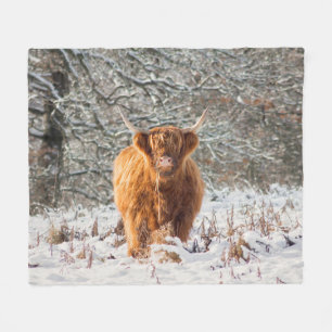 Scottish cow blanket