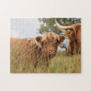 Scottish cow photograph jigsaw puzzle