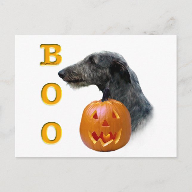 Scottish Deerhound Boo Postcard (Front)