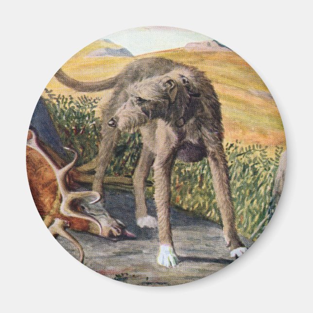 Scottish deerhound magnet (Front)