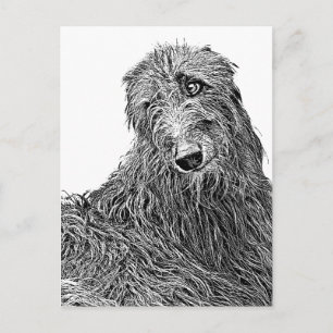 Scottish deerhound Noir et Blanc Postcard