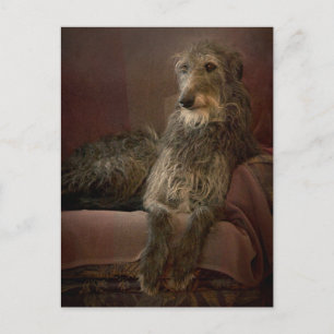 Scottish deerhound on a sofa postcard