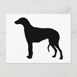 scottish deerhound silhouette postcard