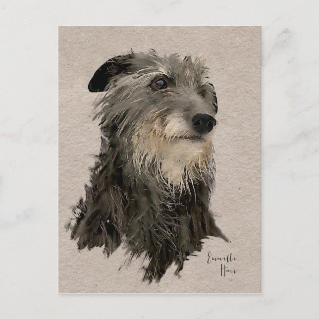Scottish deerhound Twilight Postcard (Front)