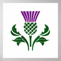 Scottish emblem thistle