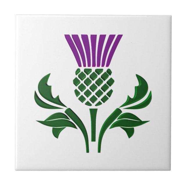 Scottish emblem thistle tile (Front)