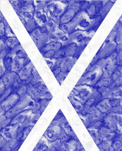 Flag Of Nail Art Nail Wraps Zazzle Ca