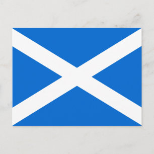 Scottish Flag T-shirts and Gifts Postcard